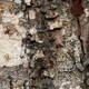 Illustration for article titled Can you spot the animals hidden in these wildlife photos?